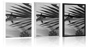 Plakat muszle pod liśćmi palmowymi w czarno-białym wzorze