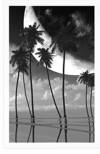 Plakat zachód słońca nad tropikalnymi palmami w czerni i bieli