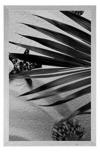 Plakat muszle pod liśćmi palmowymi w czarno-białym wzorze