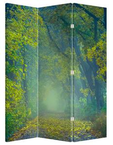 Parawan - Ścieżka wysadzana drzewami (126x170 cm)