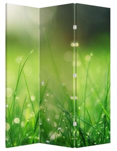 Parawan - Rosa na trawie (126x170 cm)
