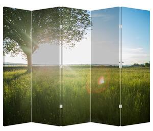 Parawan - Letnia łąka (210x170 cm)