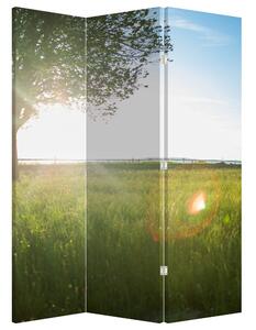 Parawan - Letnia łąka (126x170 cm)