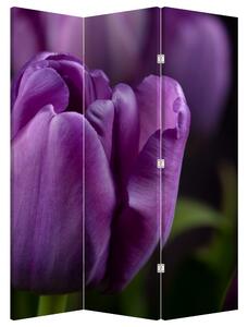 Parawan - Kwiat tulipana (126x170 cm)