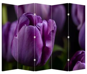Parawan - Kwiat tulipana (210x170 cm)
