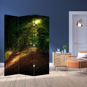 Parawan - Ścieżka leśna (126x170 cm)