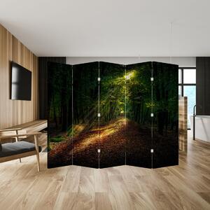 Parawan - Ścieżka leśna (210x170 cm)