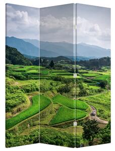 Parawan - Pole ryżowe (126x170 cm)
