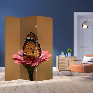 Parawan - Motyl na kwiatku (126x170 cm)