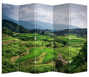 Parawan - Pole ryżowe (210x170 cm)