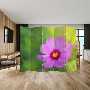 Parawan - Kwiat polny (210x170 cm)