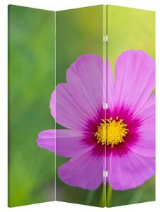 Parawan - Kwiat polny (126x170 cm)