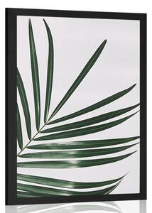 Plakat piękny liść palmowy