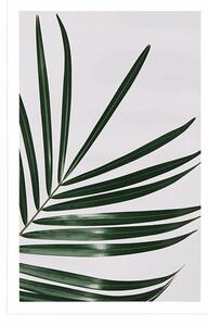 Plakat piękny liść palmowy