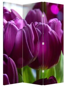 Parawan - Tulipany (126x170 cm)