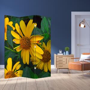 Parawan - Żółte kwiaty (126x170 cm)