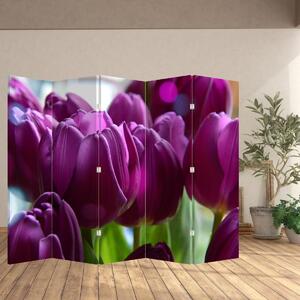 Parawan - Tulipany (210x170 cm)