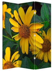 Parawan - Żółte kwiaty (126x170 cm)