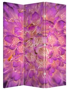 Parawan - Szczegół kwiatu (126x170 cm)