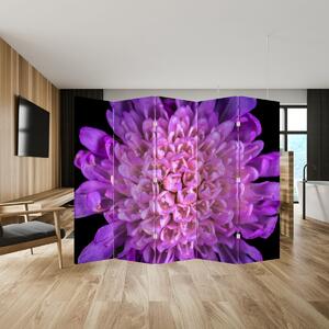 Parawan - Szczegół kwiatu (210x170 cm)