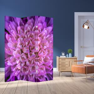 Parawan - Szczegół kwiatu (126x170 cm)