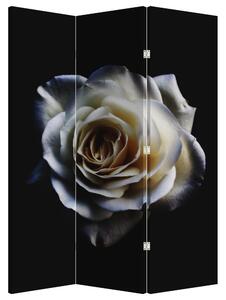 Parawan - Biała róża (126x170 cm)
