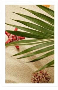 Plakat muszle pod liśćmi palmowymi