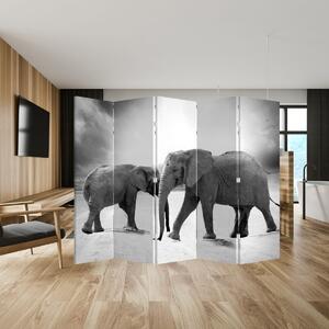 Parawan - Czarno - białe słonie (210x170 cm)