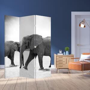 Parawan - Czarno - białe słonie (126x170 cm)