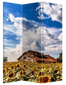 Parawan - Pole słoneczników (126x170 cm)