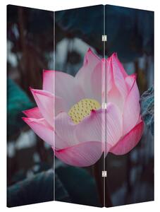 Parawan - Różowy kwiat (126x170 cm)