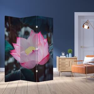 Parawan - Różowy kwiat (126x170 cm)