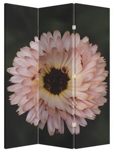 Parawan - Pomarańczowy kwiat (126x170 cm)