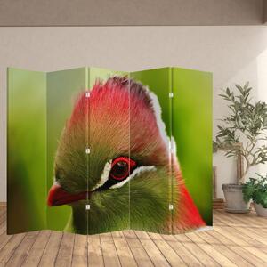 Parawan - Kolorowy ptak (210x170 cm)