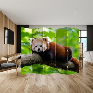 Parawan - Panda czerwona (210x170 cm)