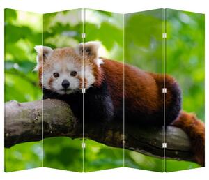 Parawan - Panda czerwona (210x170 cm)
