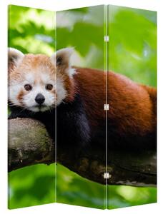 Parawan - Panda czerwona (126x170 cm)