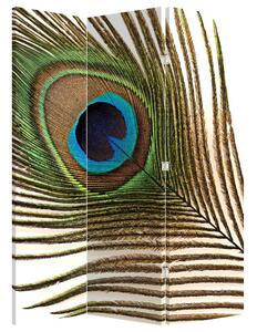 Parawan - Pawie pióra (126x170 cm)