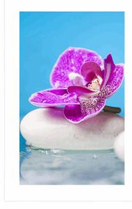 Plakat z passe-partout orchidea i Zen kamienie