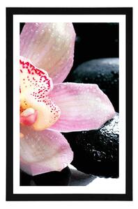 Plakat z passe-partout egzotyczna orchidea