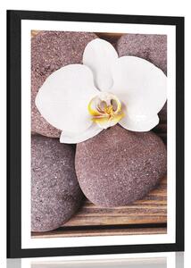 Plakat z passe-partout kamienie wellness i orchidea na drewnianym tle