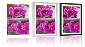 Plakat z passe-partout piękna orchidea i kamienie Zen