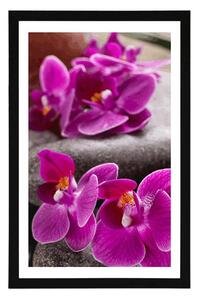 Plakat z passe-partout piękna orchidea i kamienie Zen