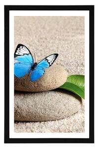Plakat z passe-partout niebieski motyl na kamieniu Zen
