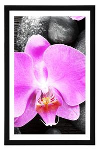 Plakat z passe-partout cudowna orchidea i kamienie