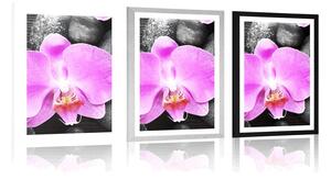 Plakat z passe-partout cudowna orchidea i kamienie
