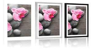 Plakat z passe-partout elegancka kompozycja z kwiatami orchidei