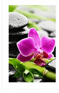 Plakat z passe-partout wellness martwa natura z fioletową orchideą