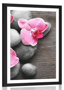 Plakat z passe-partout elegancka kompozycja z kwiatami orchidei