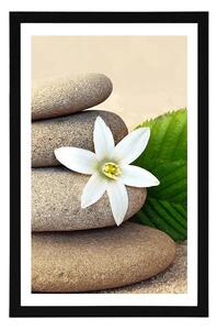 Plakat z passe-partout biały kwiat i kamienie na piasku